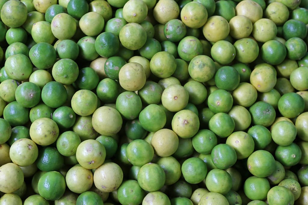 Fresh Lime